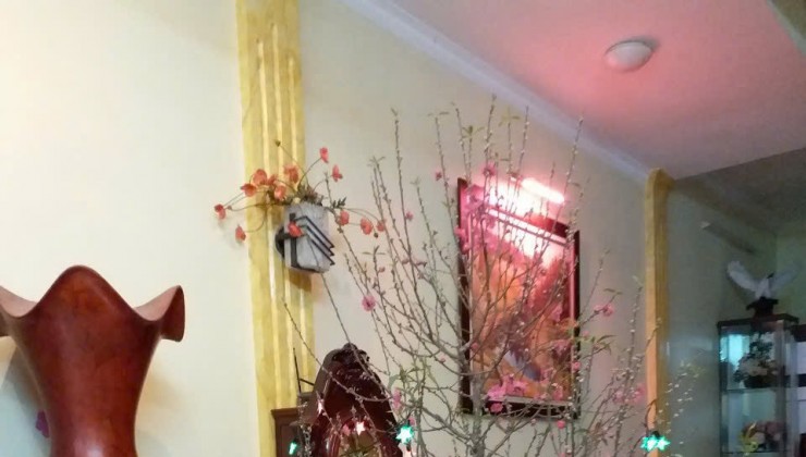 Cho thuê nhà riêng Phân Lô Nguyễn Hữu Thọ , Hoàng Mai, 40m2  x 4 tầng - Giá 14tr